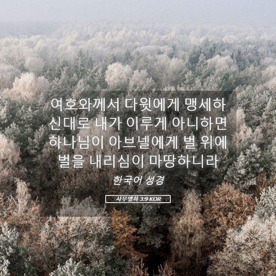 Picture 05 - 사무엘하 3:9 KOR - 여호와께서 다윗에게 맹세하신대로 - Bible Verse Picture