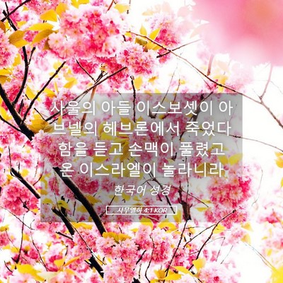 Picture 05 - 사무엘하 4:1 KOR - 사울의 아들 이스보셋이 아브넬의 - Bible Verse Picture