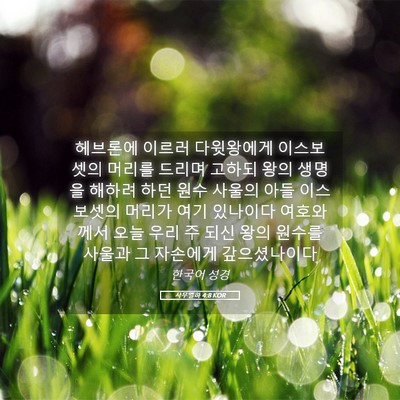 Picture 05 - 사무엘하 4:8 KOR - 헤브론에 이르러 다윗왕에게 - Bible Verse Picture