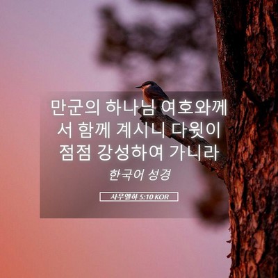 Picture 05 - 사무엘하 5:10 KOR - 만군의 하나님 여호와께서 함께 - Bible Verse Picture