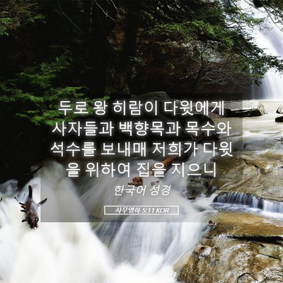 Picture 05 - 사무엘하 5:11 KOR - 두로 왕 히람이 다윗에게 사자들과 - Bible Verse Picture
