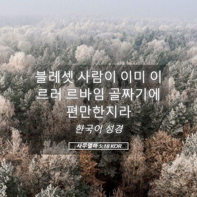 Picture 05 - 사무엘하 5:18 KOR - 블레셋 사람이 이미 이르러 르바임 - Bible Verse Picture