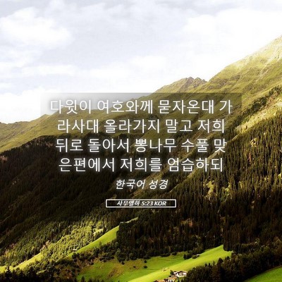 Picture 05 - 사무엘하 5:23 KOR - 다윗이 여호와께 묻자온대 가라사대 - Bible Verse Picture