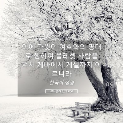 Picture 05 - 사무엘하 5:25 KOR - 이에 다윗이 여호와의 명대로 행하여 - Bible Verse Picture