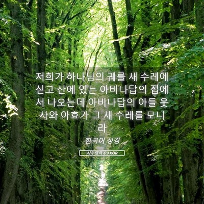 Picture 05 - 사무엘하 6:3 KOR - 저희가 하나님의 궤를 새 수레에 - Bible Verse Picture