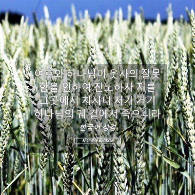 Picture 05 - 사무엘하 6:7 KOR - 여호와 하나님이 웃사의 잘못함을 - Bible Verse Picture