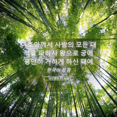 Picture 05 - 사무엘하 7:1 KOR - 여호와께서 사방의 모든 대적을 - Bible Verse Picture