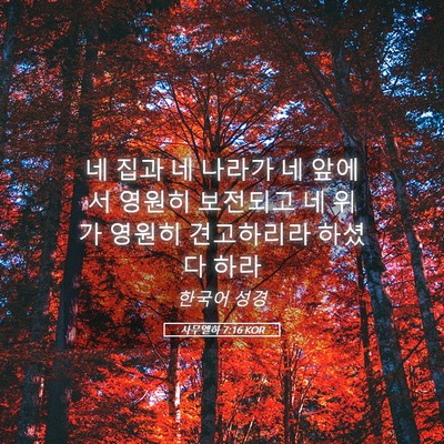 Picture 05 - 사무엘하 7:16 KOR - 네 집과 네 나라가 네 앞에서 영원히 - Bible Verse Picture