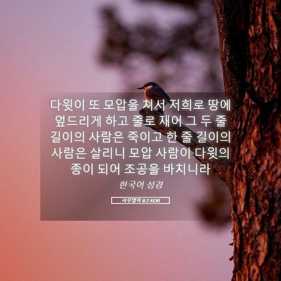 Picture 05 - 사무엘하 8:2 KOR - 다윗이 또 모압을 쳐서 저희로 땅에 - Bible Verse Picture