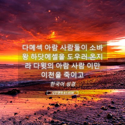 Picture 05 - 사무엘하 8:5 KOR - 다메섹 아람 사람들이 소바 왕 - Bible Verse Picture