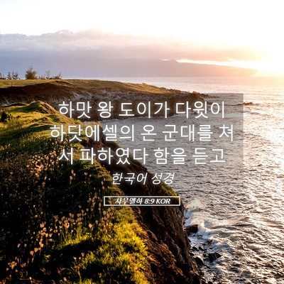 Picture 05 - 사무엘하 8:9 KOR - 하맛 왕 도이가 다윗이 하닷에셀의 - Bible Verse Picture