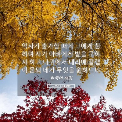 Picture 05 - 사사기 1:14 KOR - 악사가 출가할 때에 그에게 청하여 - Bible Verse Picture