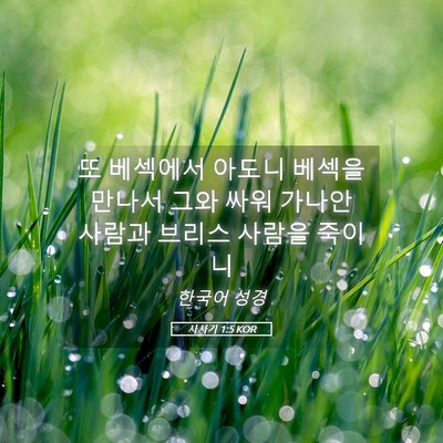 Picture 05 - 사사기 1:5 KOR - 또 베섹에서 아도니 베섹을 만나서 - Bible Verse Picture