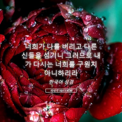 Picture 05 - 사사기 10:13 KOR - 너희가 나를 버리고 다른 신들을 - Bible Verse Picture