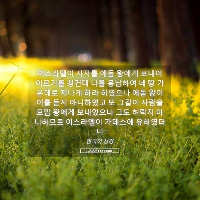 Picture 05 - 사사기 11:17 KOR - 이스라엘이 사자를 에돔 왕에게 - Bible Verse Picture