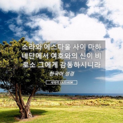 Picture 05 - 사사기 13:25 KOR - 소라와 에스다올 사이 마하네단에서 - Bible Verse Picture