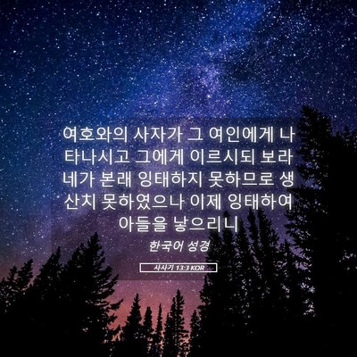 Picture 05 - 사사기 13:3 KOR - 여호와의 사자가 그 여인에게 - Bible Verse Picture