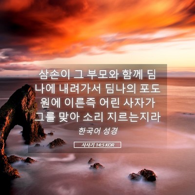 Picture 05 - 사사기 14:5 KOR - 삼손이 그 부모와 함께 딤나에 - Bible Verse Picture