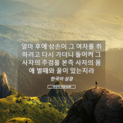 Picture 05 - 사사기 14:8 KOR - 얼마 후에 삼손이 그 여자를 - Bible Verse Picture