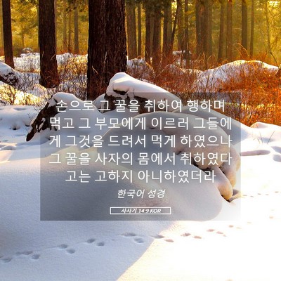 Picture 05 - 사사기 14:9 KOR - 손으로 그 꿀을 취하여 행하며 먹고 - Bible Verse Picture