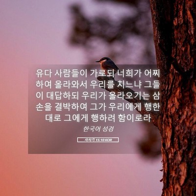 Picture 05 - 사사기 15:10 KOR - 유다 사람들이 가로되 너희가 - Bible Verse Picture