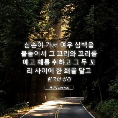 Picture 05 - 사사기 15:4 KOR - 삼손이 가서 여우 삼백을 붙들어서 - Bible Verse Picture