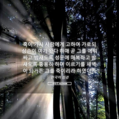 Picture 05 - 사사기 16:2 KOR - 혹이 가사 사람에게 고하여 가로되 - Bible Verse Picture