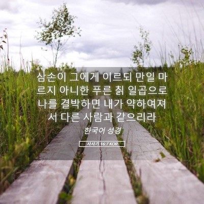 Picture 05 - 사사기 16:7 KOR - 삼손이 그에게 이르되 만일 마르지 - Bible Verse Picture