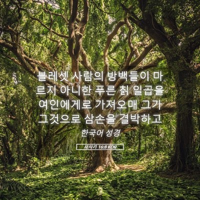 Picture 05 - 사사기 16:8 KOR - 블레셋 사람의 방백들이 마르지 - Bible Verse Picture