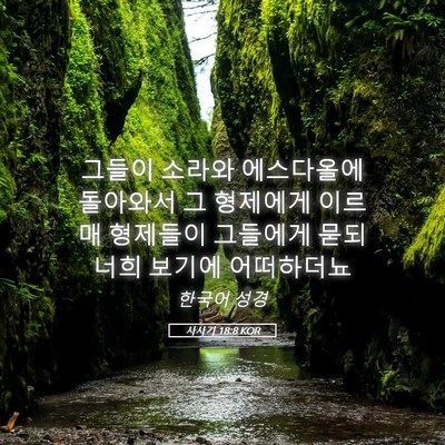 Picture 05 - 사사기 18:8 KOR - 그들이 소라와 에스다올에 돌아와서 - Bible Verse Picture