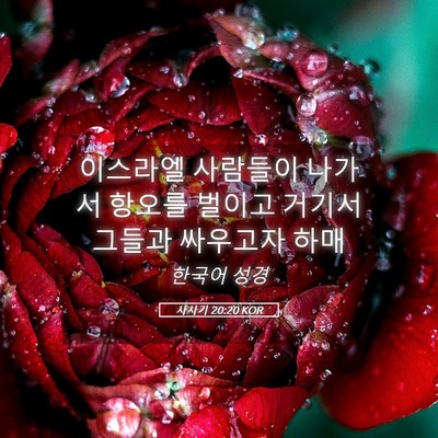 Picture 05 - 사사기 20:20 KOR - 이스라엘 사람들이 나가서 항오를 - Bible Verse Picture