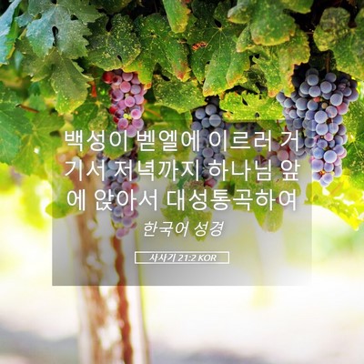 Picture 05 - 사사기 21:2 KOR - 백성이 벧엘에 이르러 거기서 - Bible Verse Picture