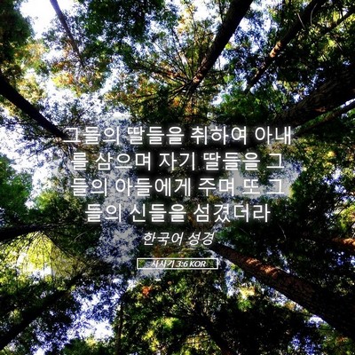 Picture 05 - 사사기 3:6 KOR - 그들의 딸들을 취하여 아내를 삼으며 - Bible Verse Picture