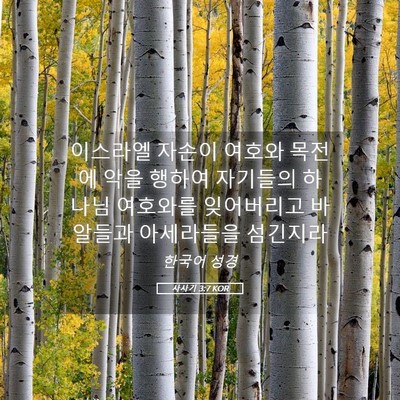 Picture 05 - 사사기 3:7 KOR - 이스라엘 자손이 여호와 목전에 악을 - Bible Verse Picture