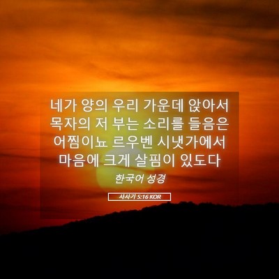 Picture 05 - 사사기 5:16 KOR - 네가 양의 우리 가운데 앉아서 - Bible Verse Picture