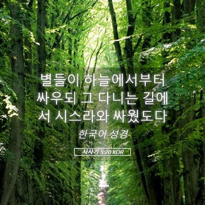 Picture 05 - 사사기 5:20 KOR - 별들이 하늘에서부터 싸우되 그 - Bible Verse Picture