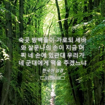 Picture 05 - 사사기 8:6 KOR - 숙곳 방백들이 가로되 세바와 - Bible Verse Picture