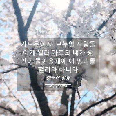 Picture 05 - 사사기 8:9 KOR - 기드온이 또 브누엘 사람들에게 일러 - Bible Verse Picture