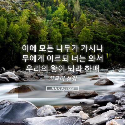 Picture 05 - 사사기 9:14 KOR - 이에 모든 나무가 가시나무에게 - Bible Verse Picture