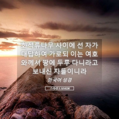 Picture 05 - 스가랴 1:10 KOR - 화석류나무 사이에 선 자가 대답하여 - Bible Verse Picture