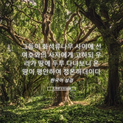 Picture 05 - 스가랴 1:11 KOR - 그들이 화석류나무 사이에 선 - Bible Verse Picture