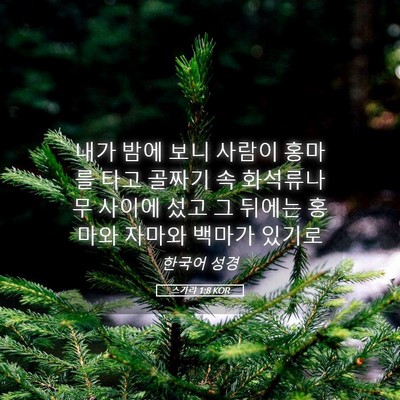 Picture 05 - 스가랴 1:8 KOR - 내가 밤에 보니 사람이 홍마를 타고 - Bible Verse Picture