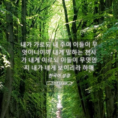 Picture 05 - 스가랴 1:9 KOR - 내가 가로되 내 주여 이들이 - Bible Verse Picture