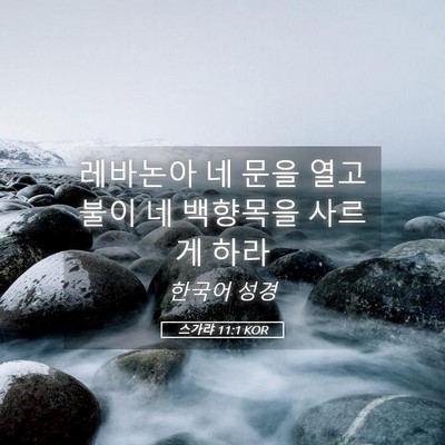Picture 05 - 스가랴 11:1 KOR - 레바논아 네 문을 열고 불이 네 - Bible Verse Picture