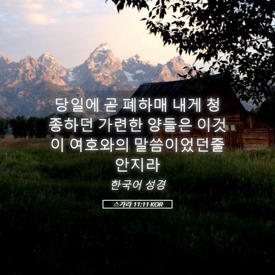 Picture 05 - 스가랴 11:11 KOR - 당일에 곧 폐하매 내게 청종하던 - Bible Verse Picture