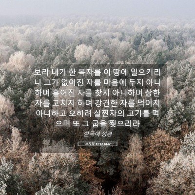 Picture 05 - 스가랴 11:16 KOR - 보라 내가 한 목자를 이 땅에 - Bible Verse Picture