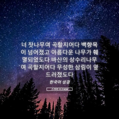 Picture 05 - 스가랴 11:2 KOR - 너 잣나무여 곡할지어다 백향목이 - Bible Verse Picture