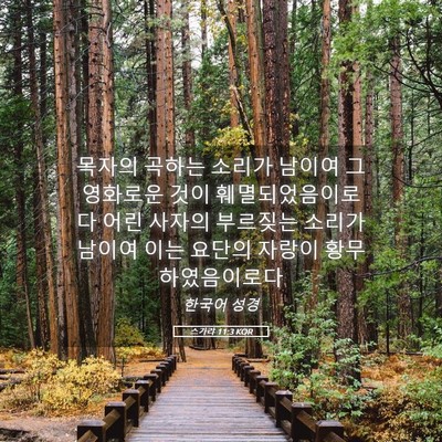 Picture 05 - 스가랴 11:3 KOR - 목자의 곡하는 소리가 남이여 그 - Bible Verse Picture