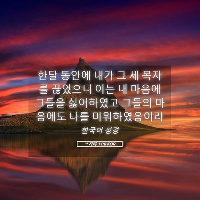 Picture 05 - 스가랴 11:8 KOR - 한달 동안에 내가 그 세 목자를 - Bible Verse Picture