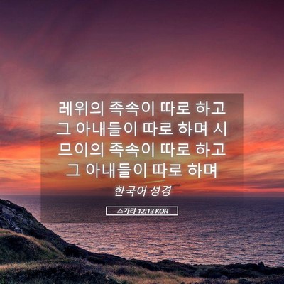 Picture 05 - 스가랴 12:13 KOR - 레위의 족속이 따로 하고 그 - Bible Verse Picture